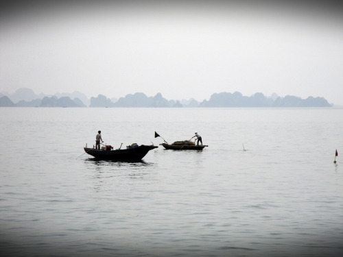 Fishing boats with the islands of Halong Bay in the background. 